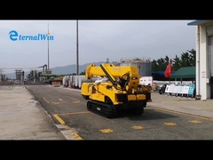 grue de chenille d'araignée