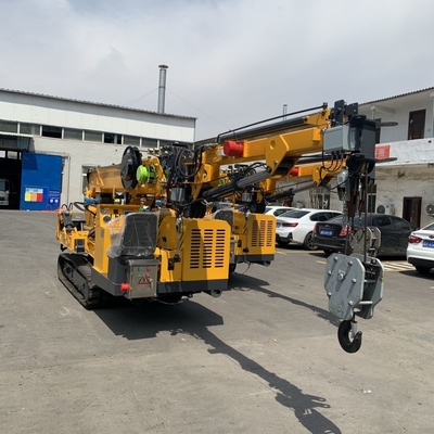 Une grue spider crawler personnalisée moteur diesel et double puissance électrique